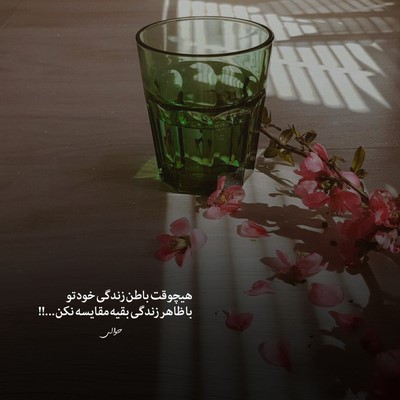  میرم یادت باشه گل گلدون برام گذاشتی یه دل